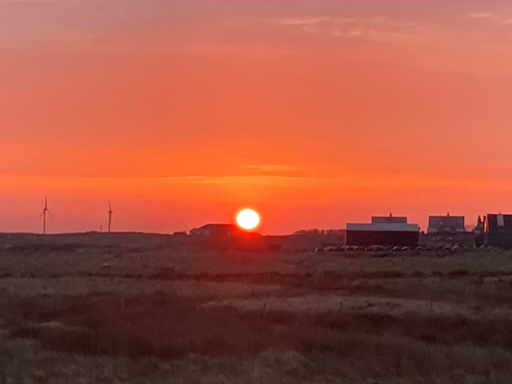 Stunning sunrise view from Bee Caravan